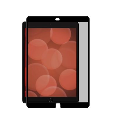 DISPLEX Tablet Privacy Safe Schutzfolie f. iPad 10,2"(7/8/9 Gen)