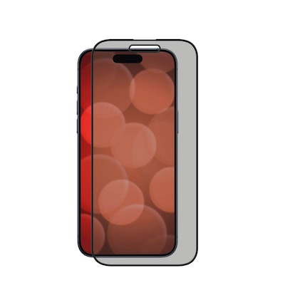DISPLEX Privacy Glasschutzfolie FC für iPhone 16