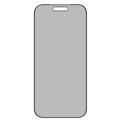 DISPLEX Privacy Glas für Apple iPhone 17/17 Pro