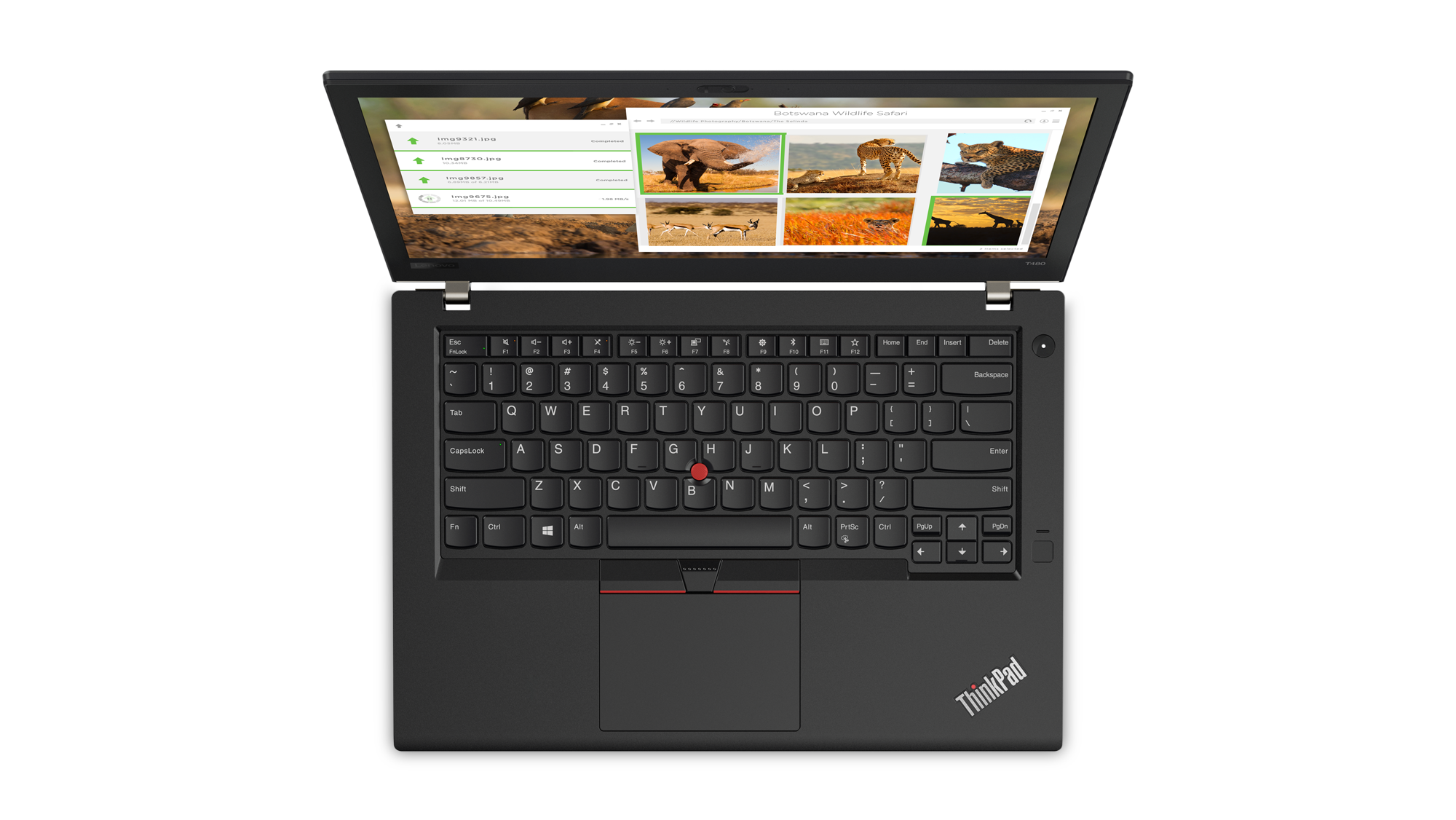 Lenovo ThinkPad T480 i5 (8. Generation), 8 GB, 256 GB SSD, 14" Full HD, UHD Graphics 620, Win 11 Pro Notebooks Produkt Bild 5