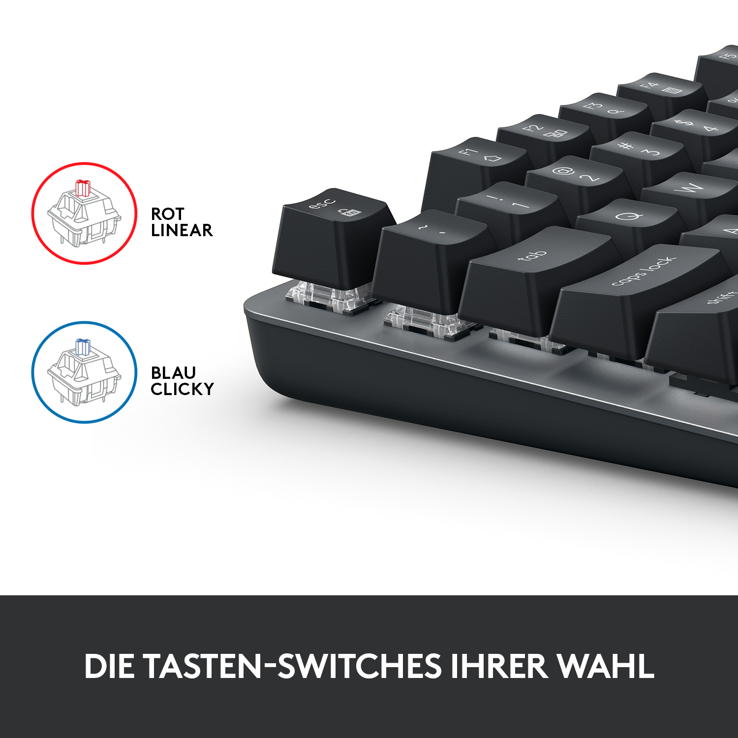 Logitech K835 TKL - Kompakte Mechanische Tastatur, Kabelgebunden, Blue Clicky Tactile Switches Tastaturen Produkt Bild 3