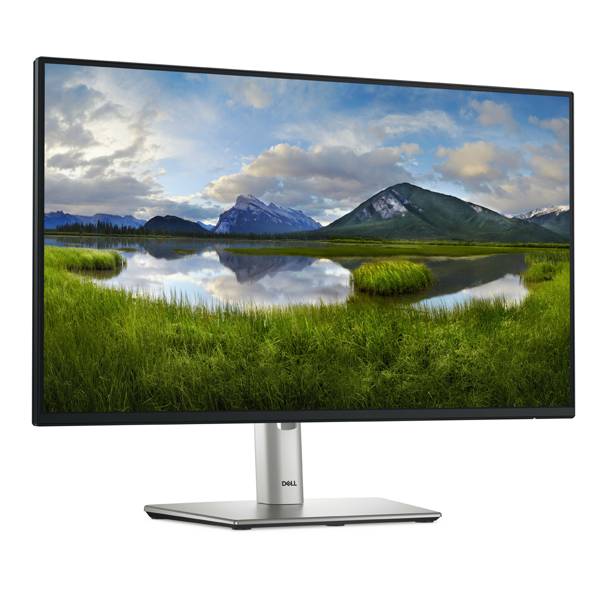 DELL P2425H Office Monitor IPS, 61,13 cm (24,07 Zoll), LED, 1x HDMI, 1x DP, 1x VGA, USB-Hub