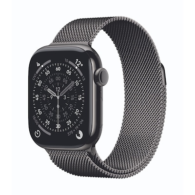 Apple Watch Series 11 Cellular 42mm Schiefer Titan Gehäuse mit Schiefer Milanaise Armband