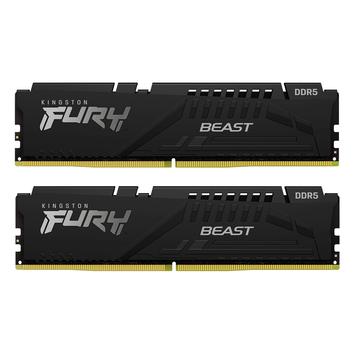Kingston FURY Beast Schwarz 32GB Kit (2x16GB) DDR5-5600 EXPO CL36 DIMM Arbeitsspeicher