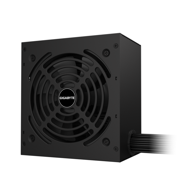 GIGABYTE P650G power supply