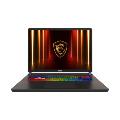 MSI Vector 17 HX AI A2XWIG-040 B-Ware - 17" QHD+ 240Hz Display, Intel Core Ultra 9 275HX, 32GB DDR5 RAM, 2TB SSD, NVIDIA...