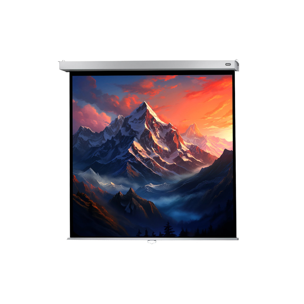 celexon Leinwand Rollo Professional Plus 120 x 120, Format 1:1 Image