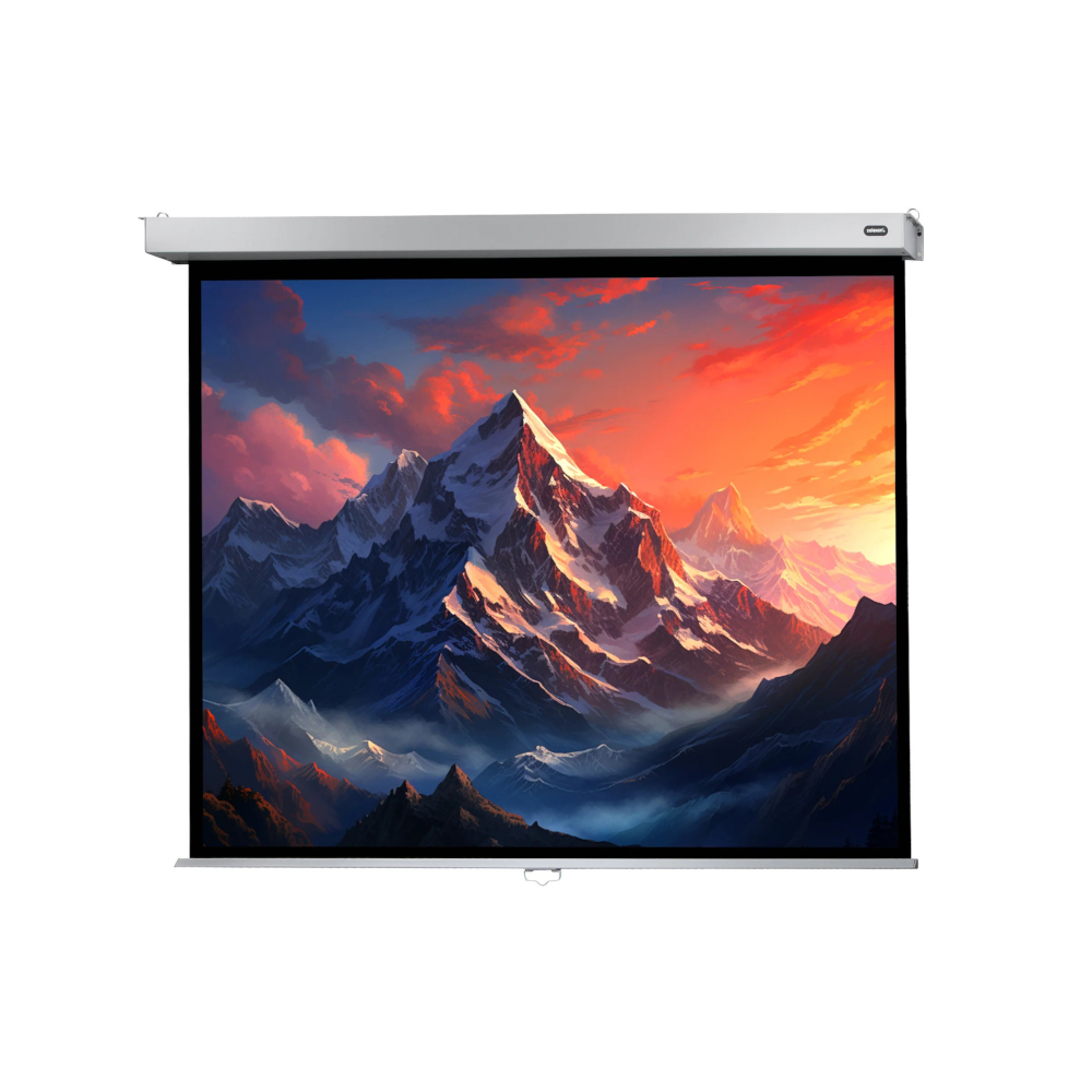 celexon Leinwand Rollo Professional Plus 160 x 120 cm Format 4:3 Image