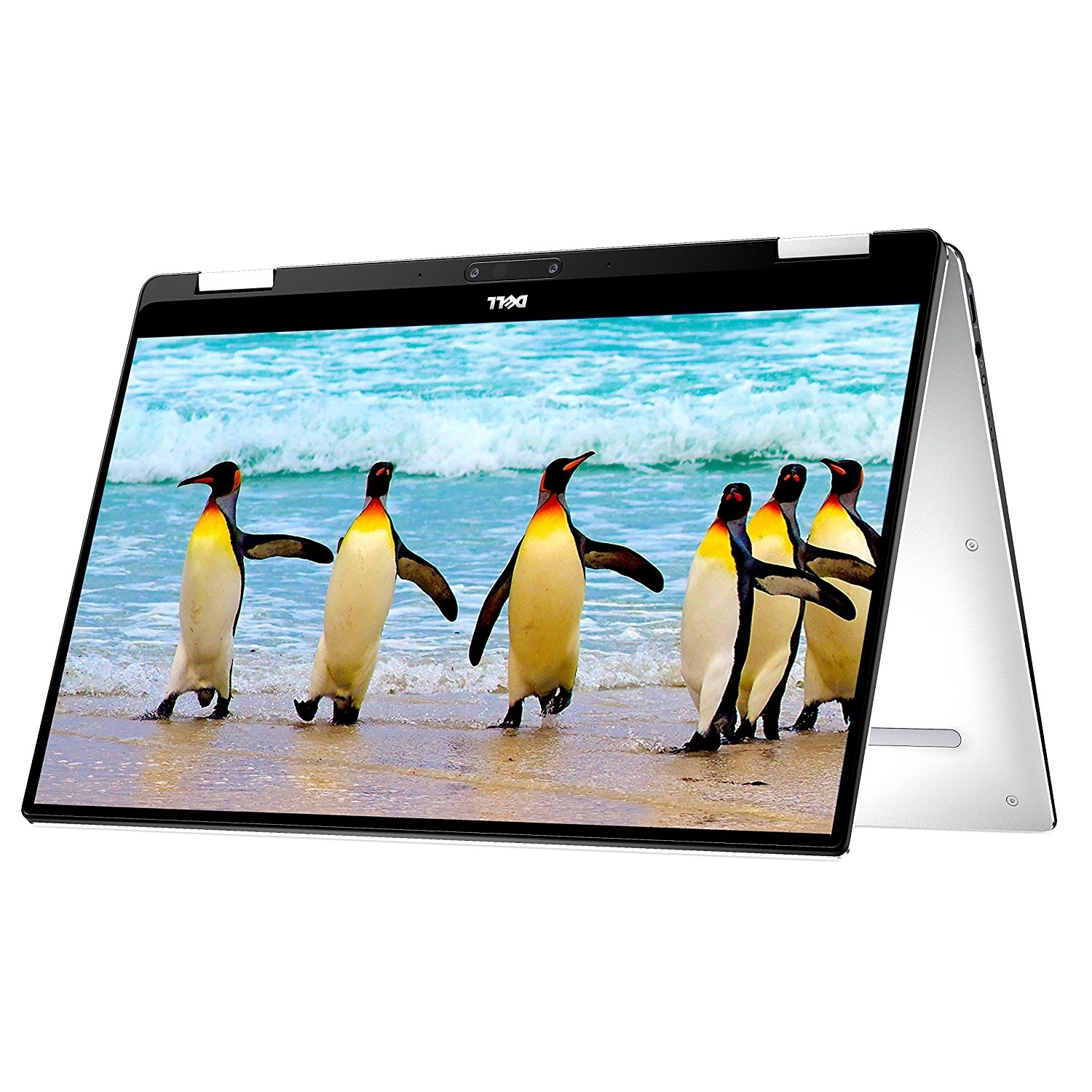 Dell XPS 13 9365 2-in-1 - Notebooks online kaufen | NBB