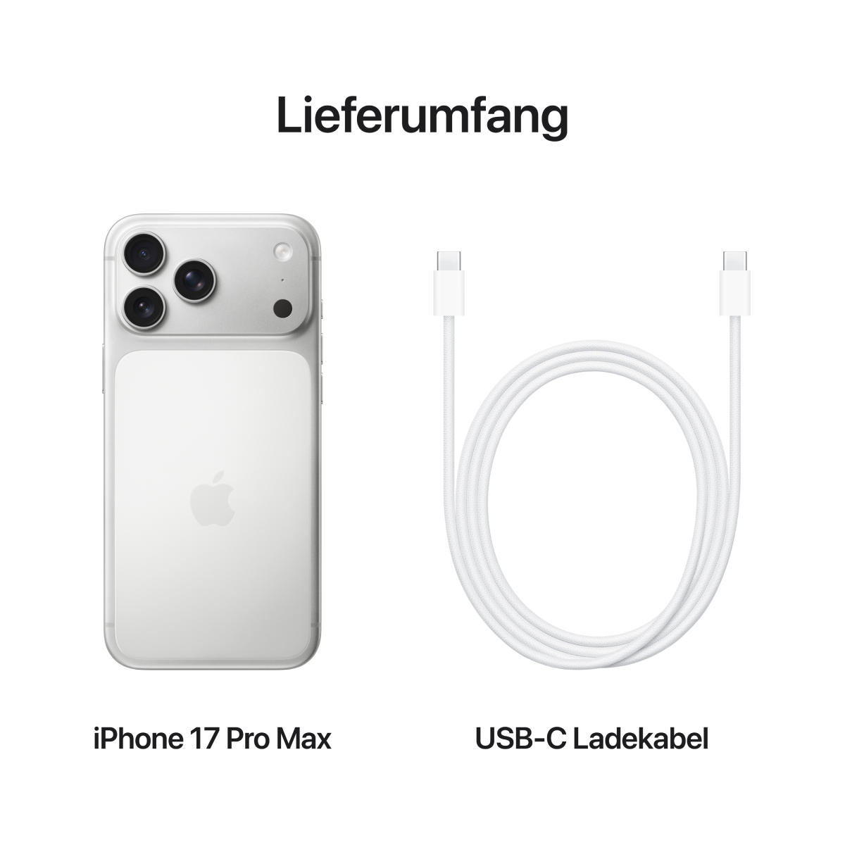 iPhone 17 Pro Max 1TB Silber - Handy online kaufen | NBB