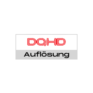 LC-Power LC-M49-DFHD-144-C-Q 49Zoll - Curved Gaming Moni B-Ware QLED-VA, Dual FHD, 144 Hz, 6ms Displays Produkt Bild 12