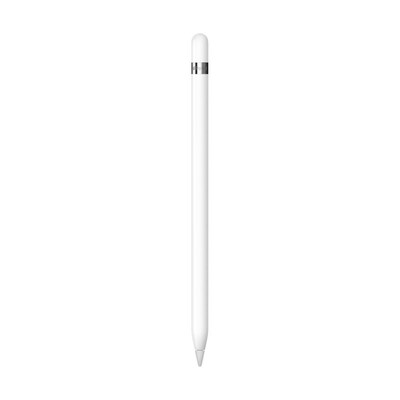 Apple Pencil (1.Gen) incl. USB-C auf Apple Pencil Adapte B-Ware