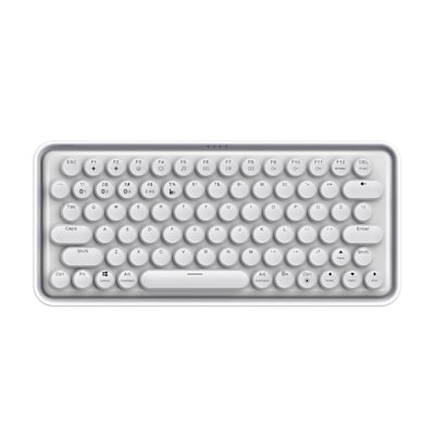 Rapoo Mechanische Multimodus Tastatur "Ralemo Pre 5", weiß Drahtlose Multimodus-Verbindung - QWERTZ (deutsches)-Layout