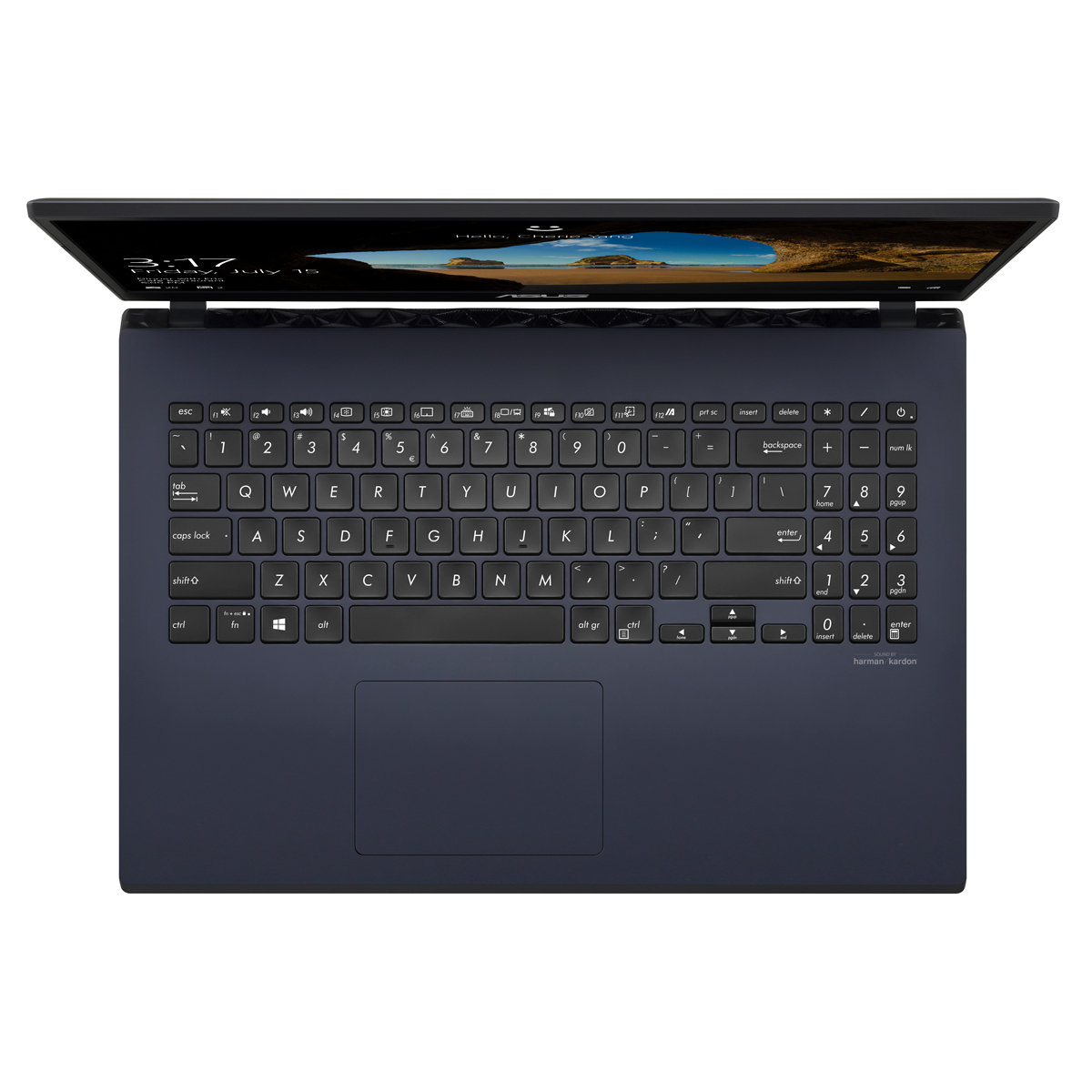 Asus VivoBook Pro 15 F571GD-BQ265T - Notebooks online kaufen | NBB