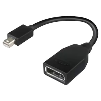 Thumbnail - Lenovo Mini-DisplayPort (M) auf DisplayPort (F) | Adapter