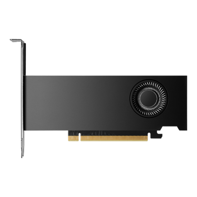 NVIDIA RTX 2000 Ada Generation - 16GB GDDR6, 4x mDP