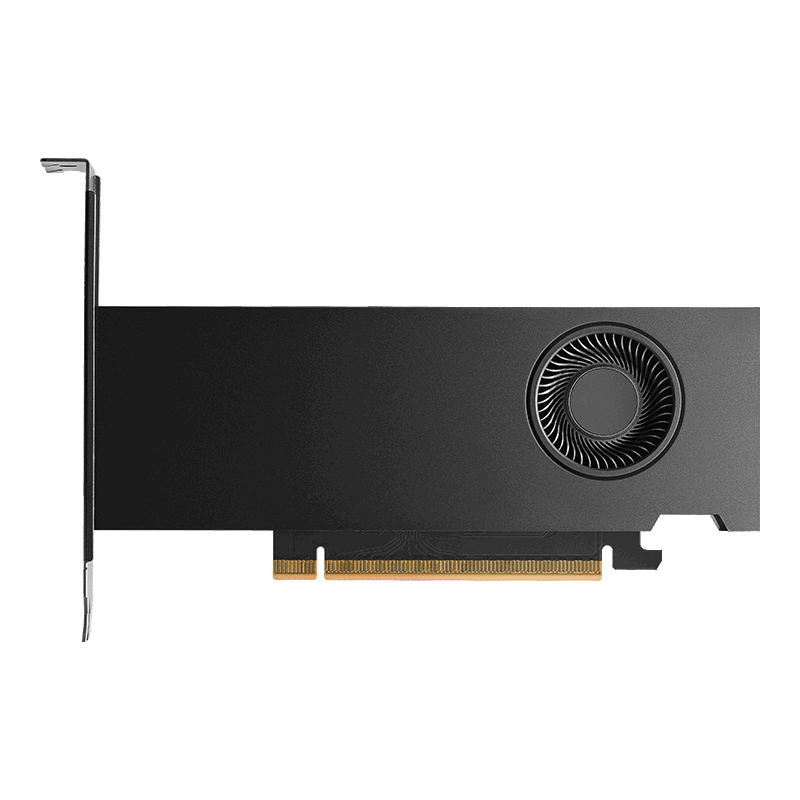 NVIDIA RTX PRO 2000 Blackwell Retail - 16GB GDDR7 RAM - Grafikkarte